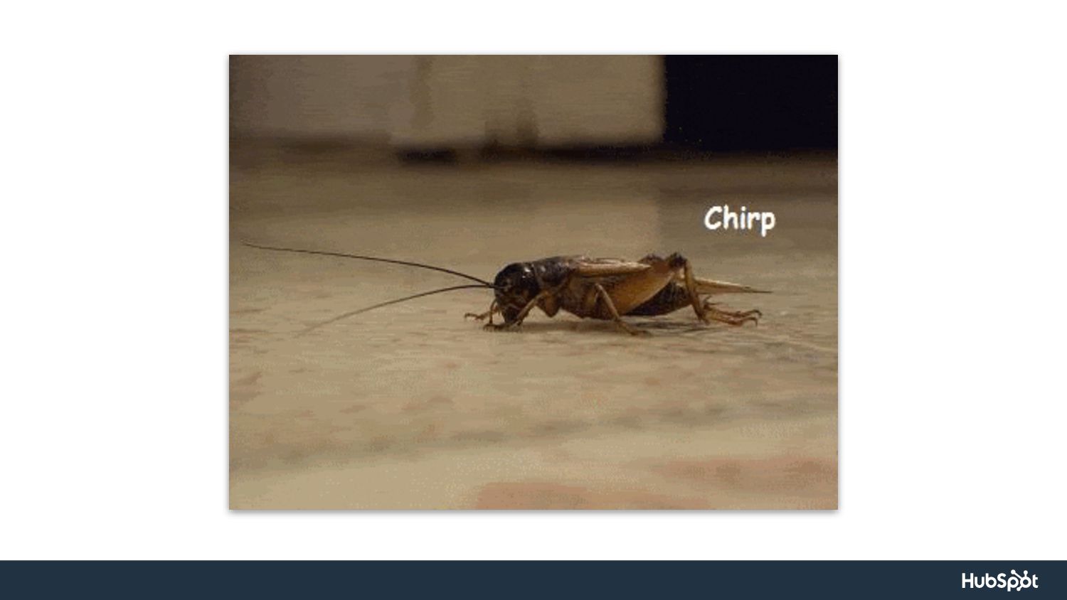 Scaling Up: Product Marketing Lessons from Ten Years at HubSpot - slide 27