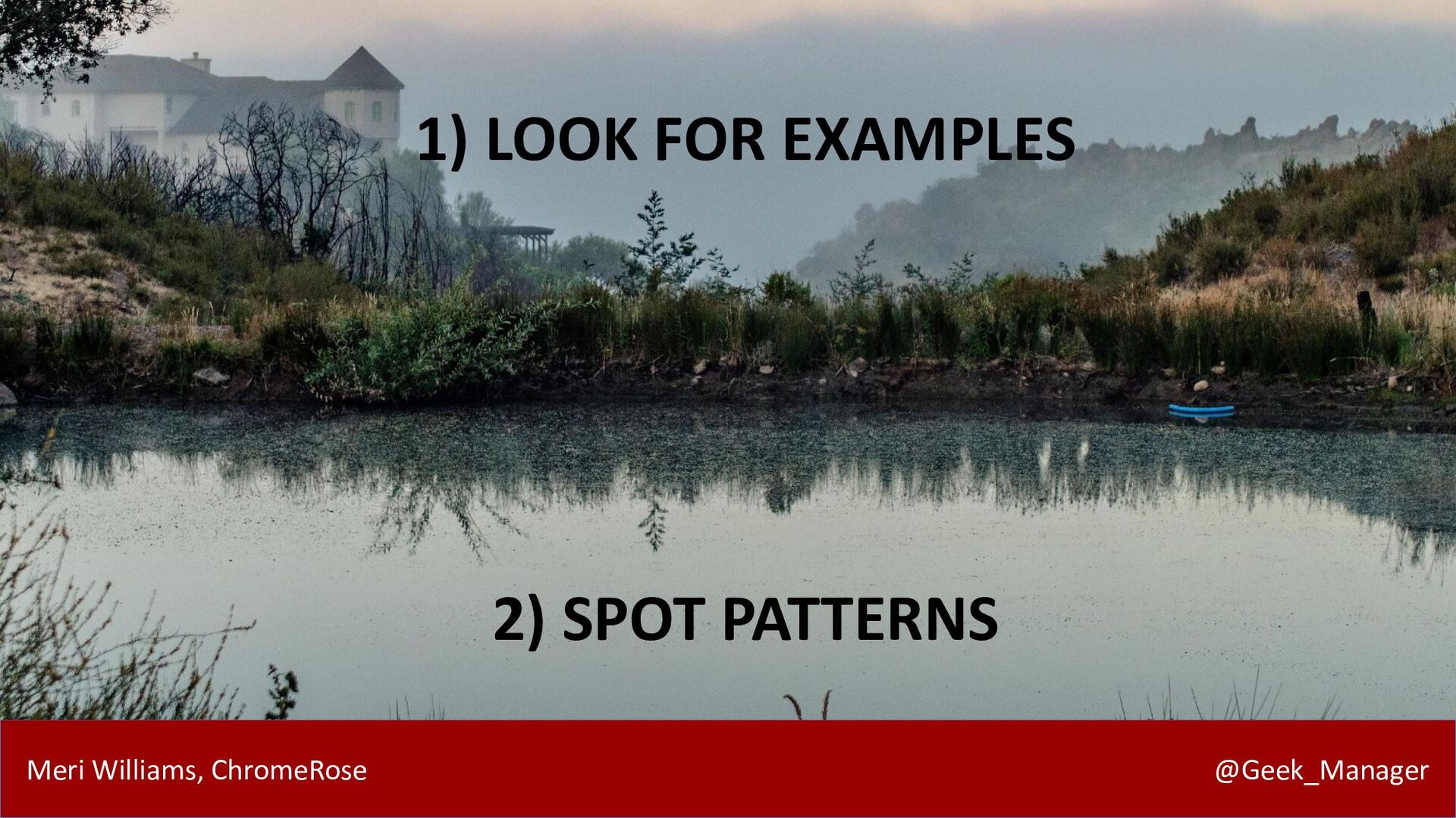 Career Vectors: Navigating Modern Careers with Meri Williams - slide 7
