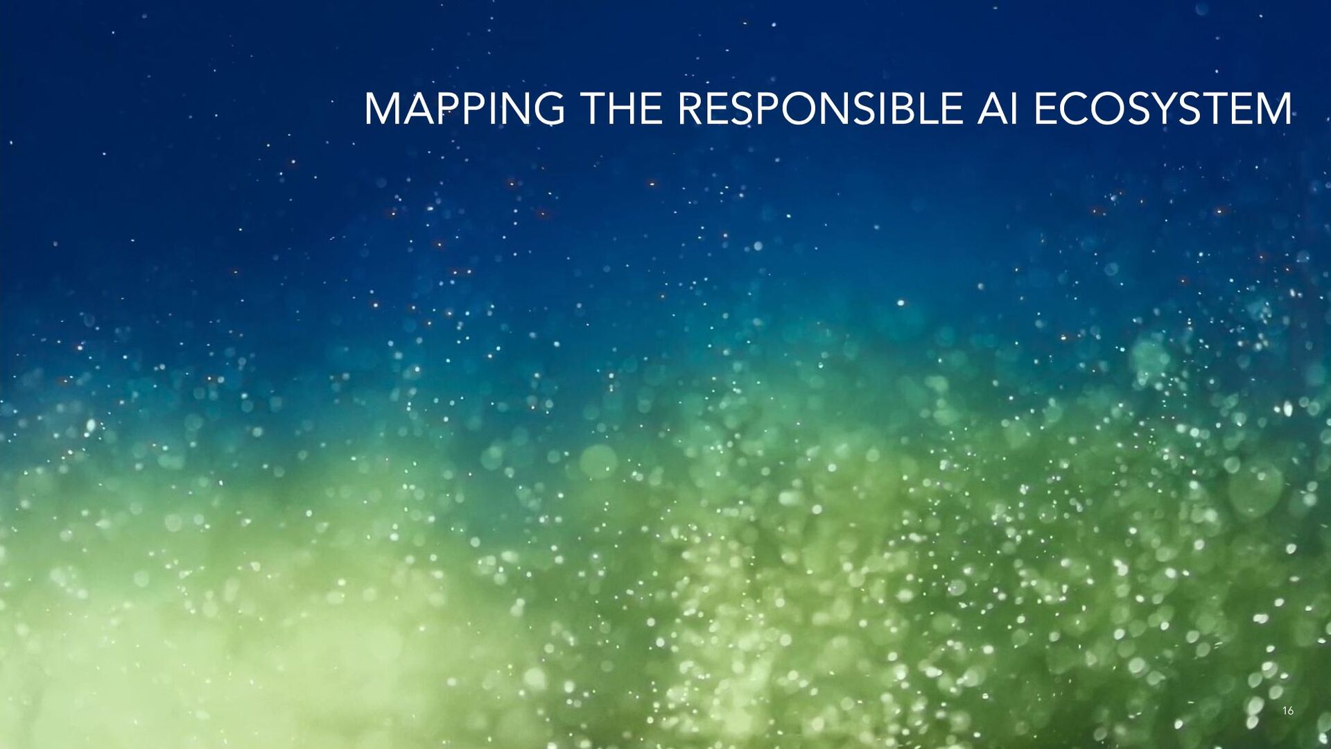 Who is Responsible for ‘Responsible AI’? The Ecologies of a Responsible AI Ecosystem - slide 16