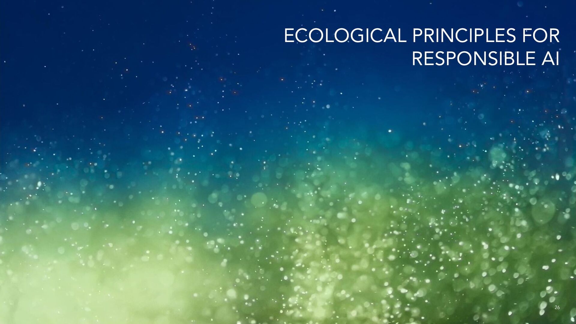 Who is Responsible for ‘Responsible AI’? The Ecologies of a Responsible AI Ecosystem - slide 26