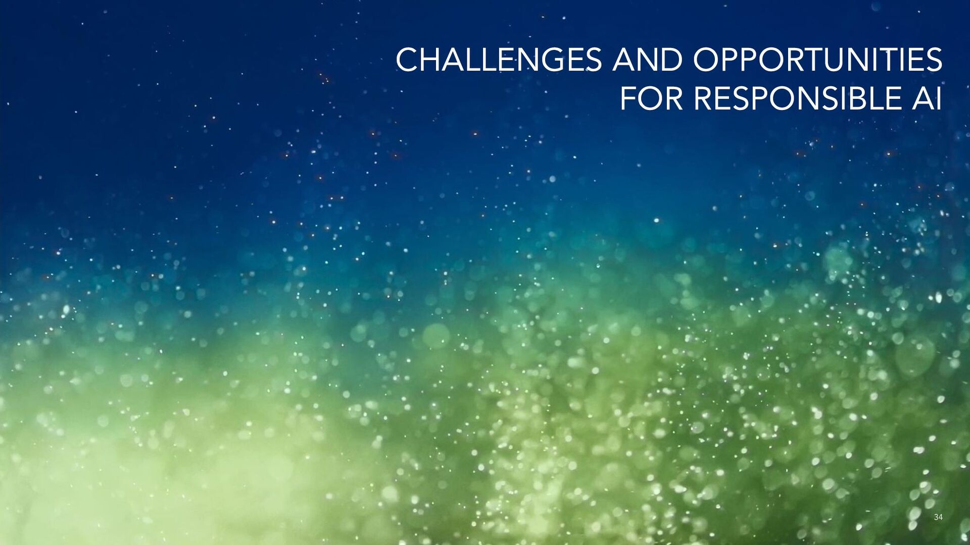 Who is Responsible for ‘Responsible AI’? The Ecologies of a Responsible AI Ecosystem - slide 34