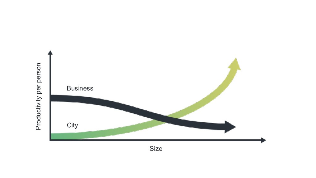 The Real Reasons Startups and Scale-ups Fail (And What to Do About It) - slide 13
