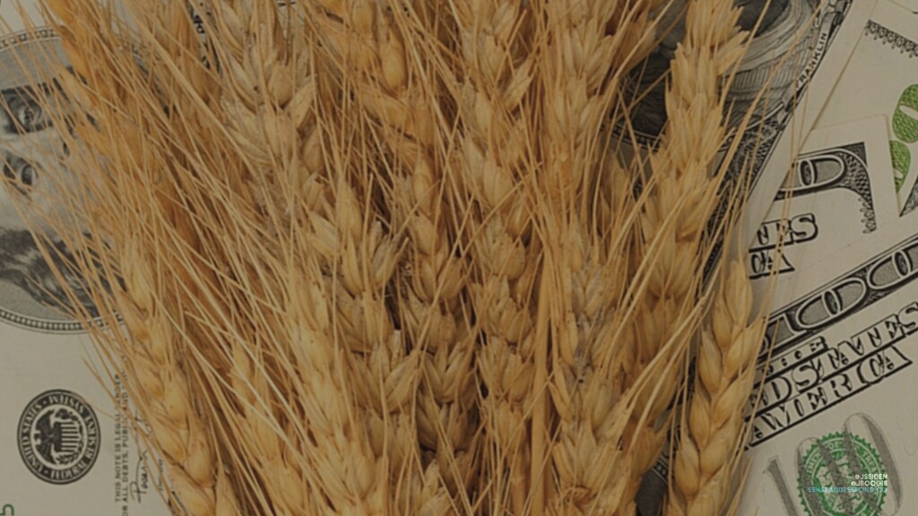 Hacking Your Tractor With Black Market Code - slide 25
