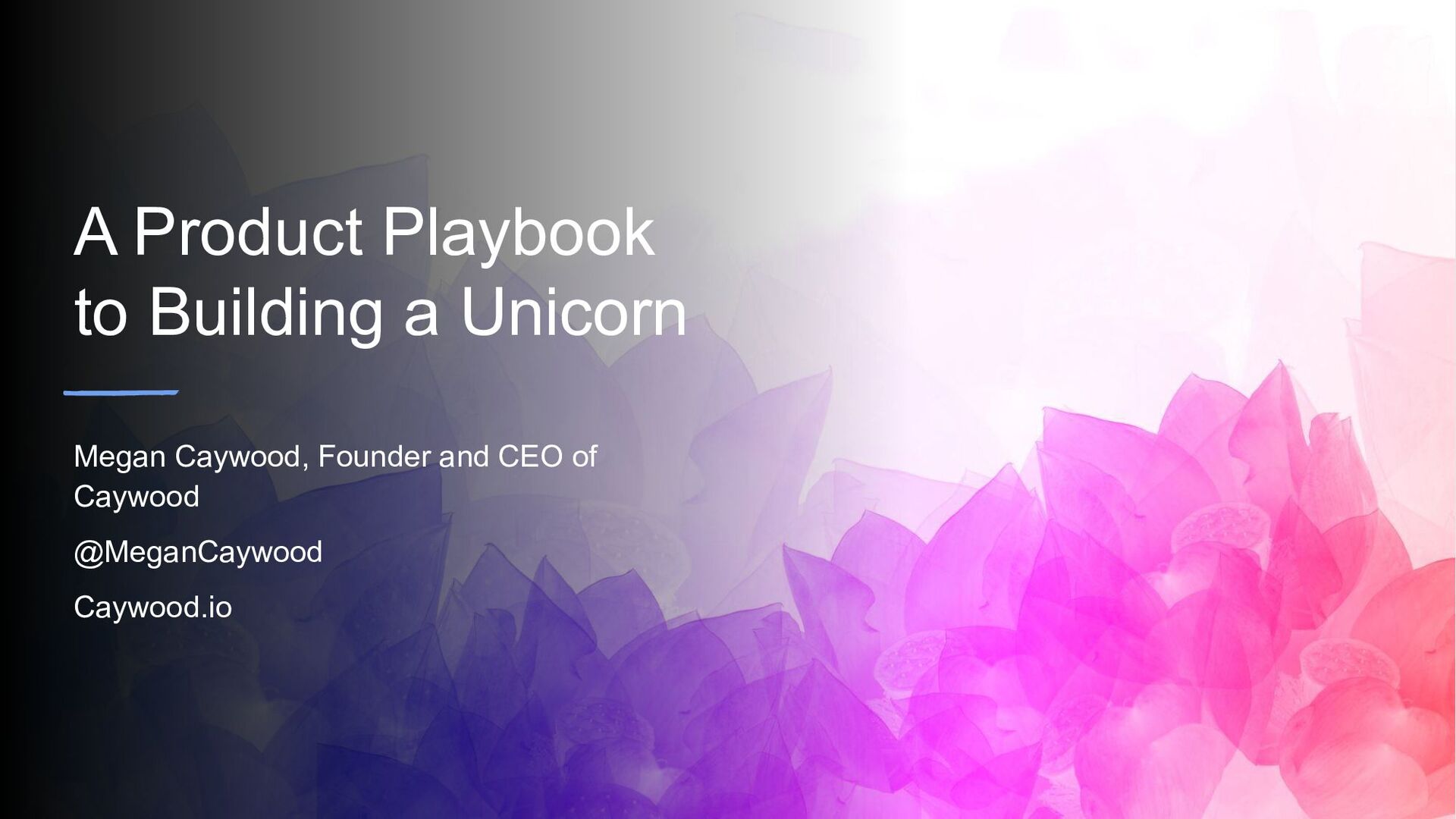 A Product Playbook to Building a Unicorn - slide 1
