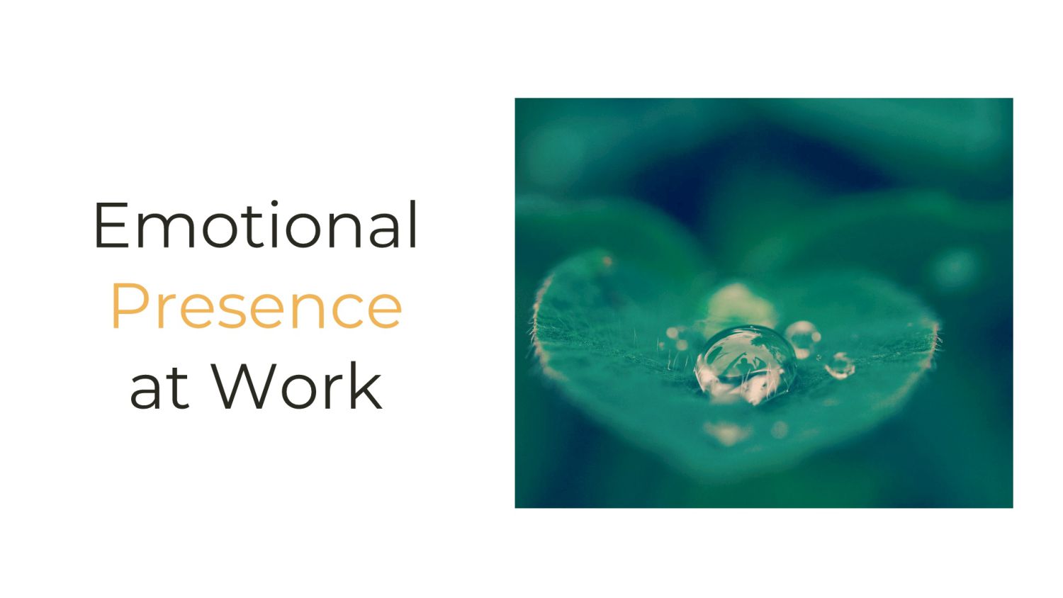 Sherry Walling - Grief, Joy & Presence: Leadership Superpowers You Didn't Know That You Needed - slide 11