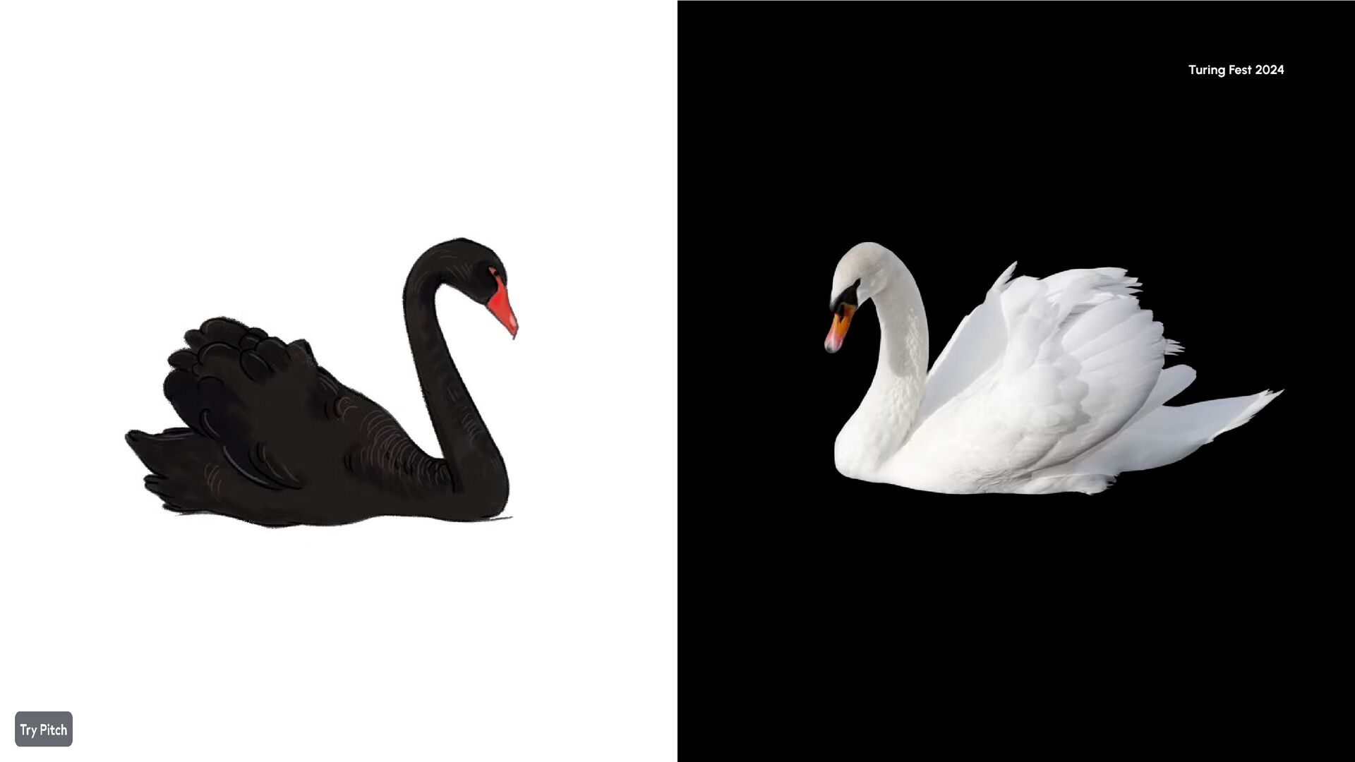 Surviving Black Swans: How To Build Resilient Structures & Navigate Unpredictable Events - slide 5